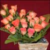 Natural Fragrances - Click here to View more details about this Product